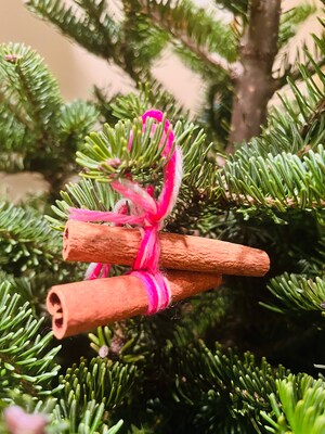 Eco-Friendly Holiday Ornament with Cinnamon Sticks - image2